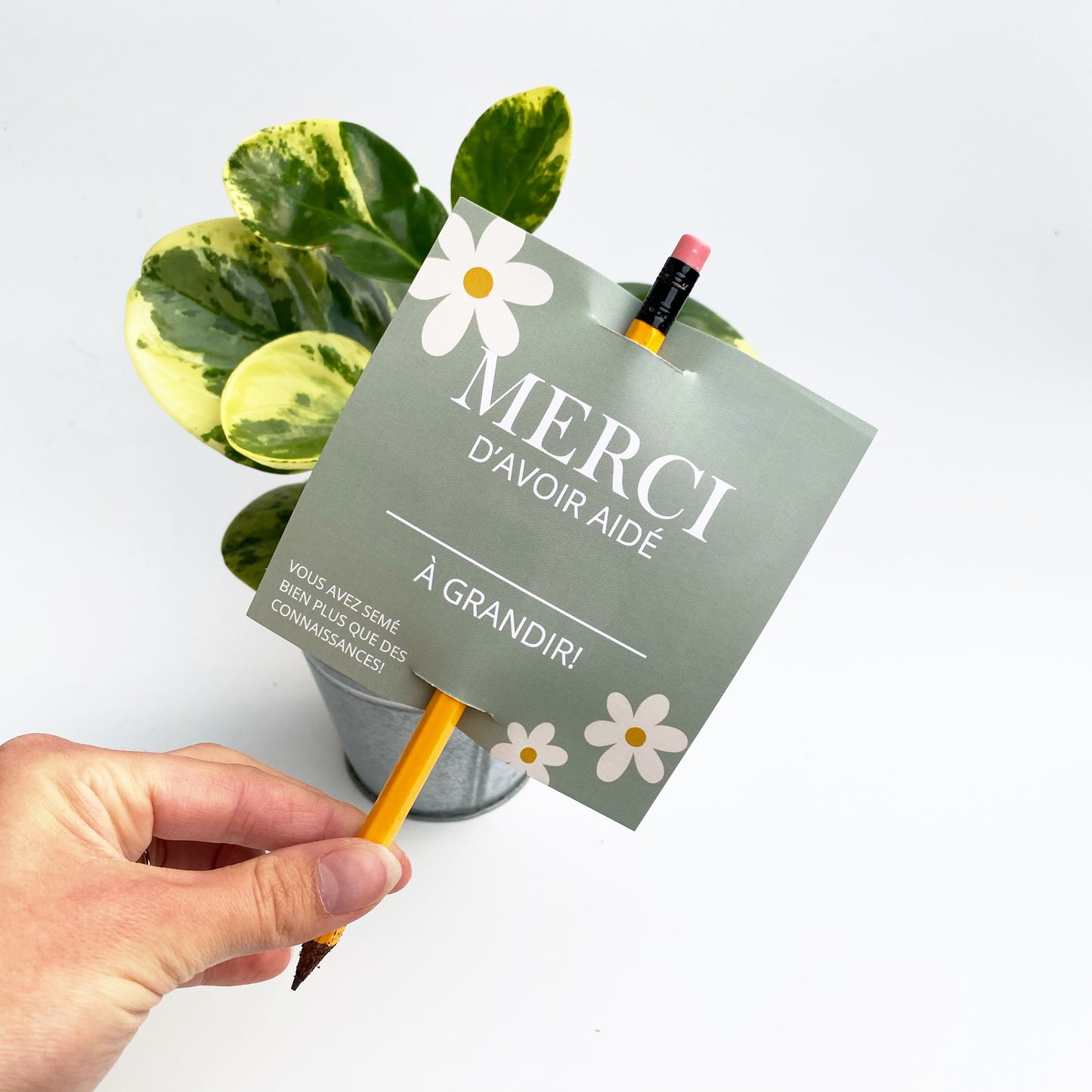 CADEAU FIN D’ANNÉE