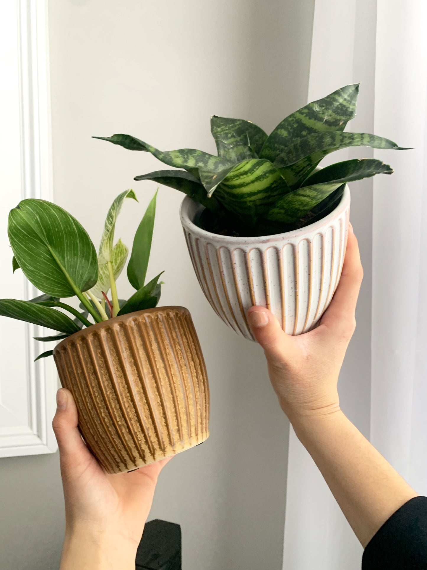 Cache-pot Cera