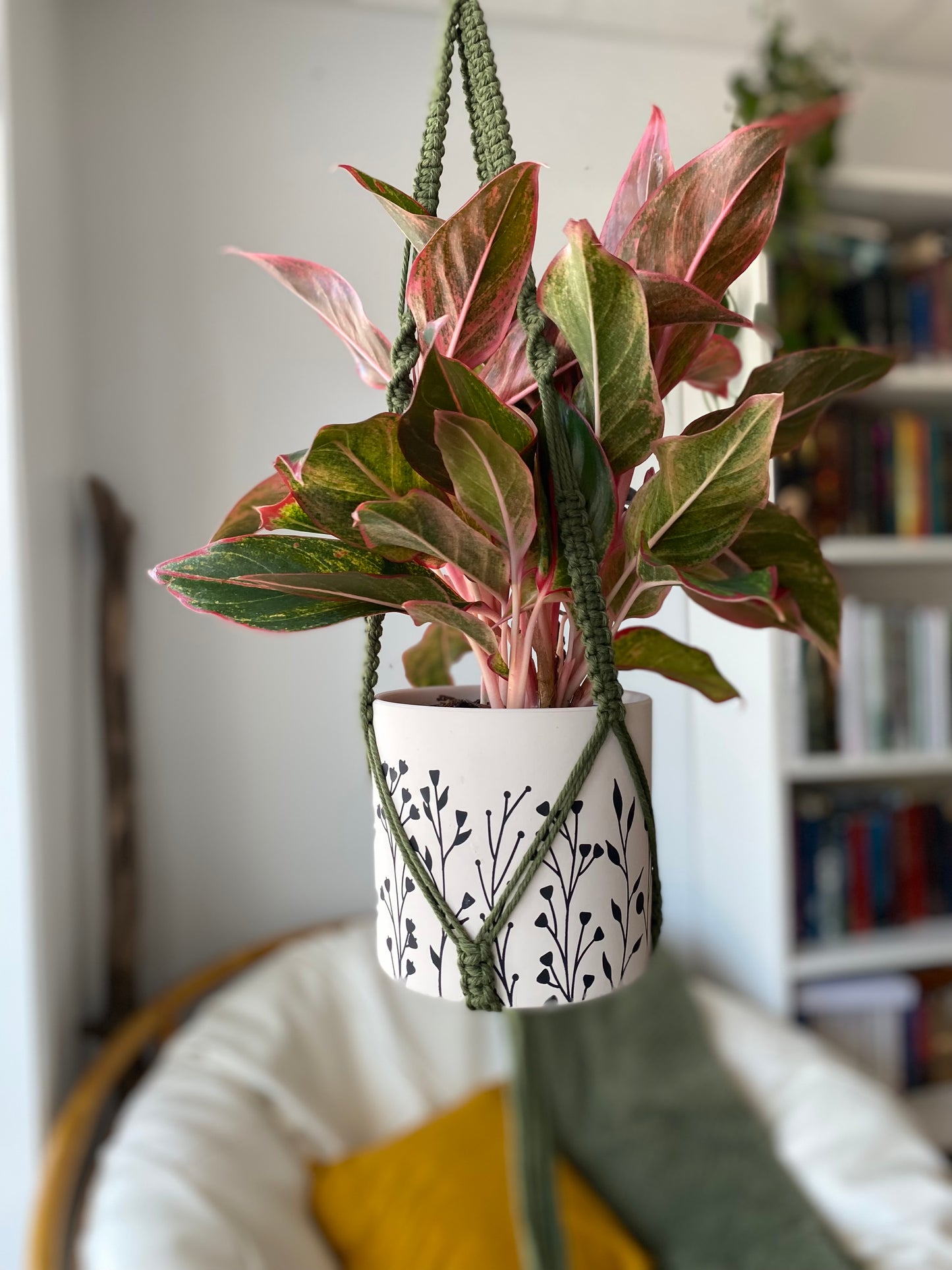 Jardinière macramé