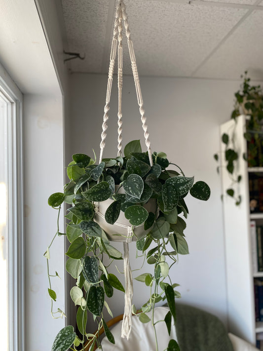 Jardinière macramé