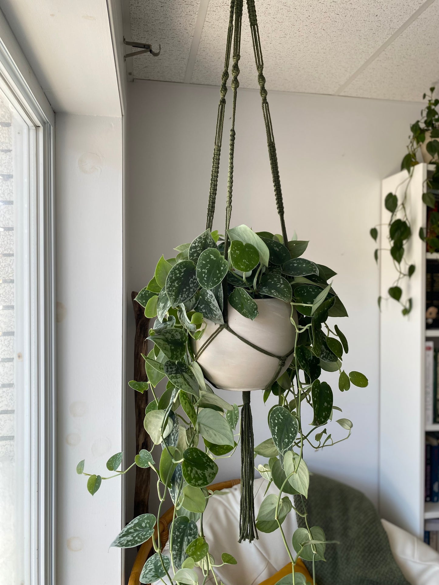 Jardinière macramé