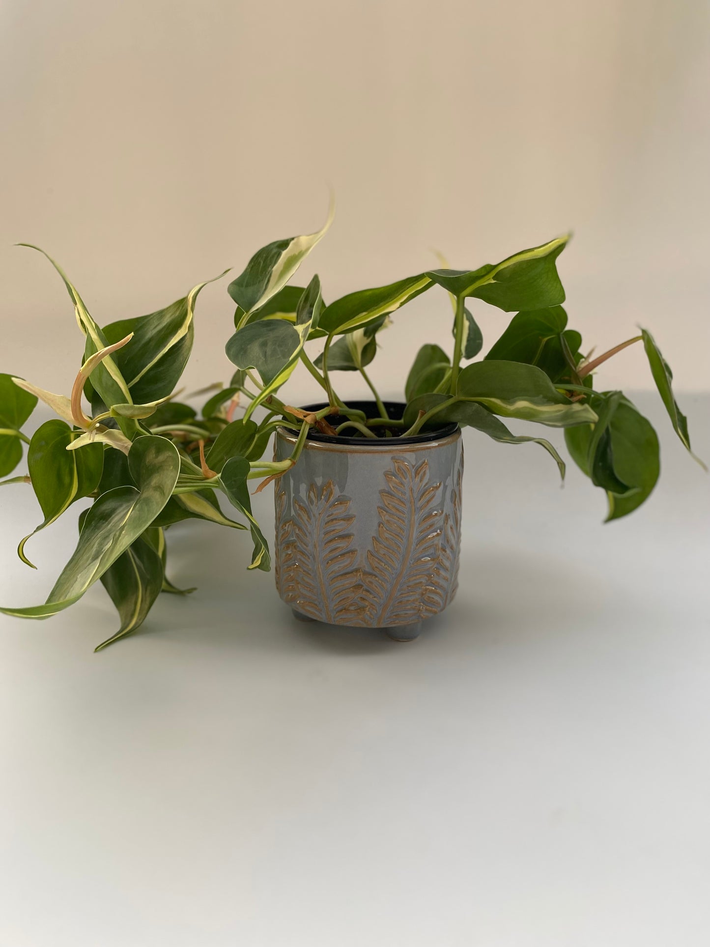 Cache-pot Rubi ‘forest’