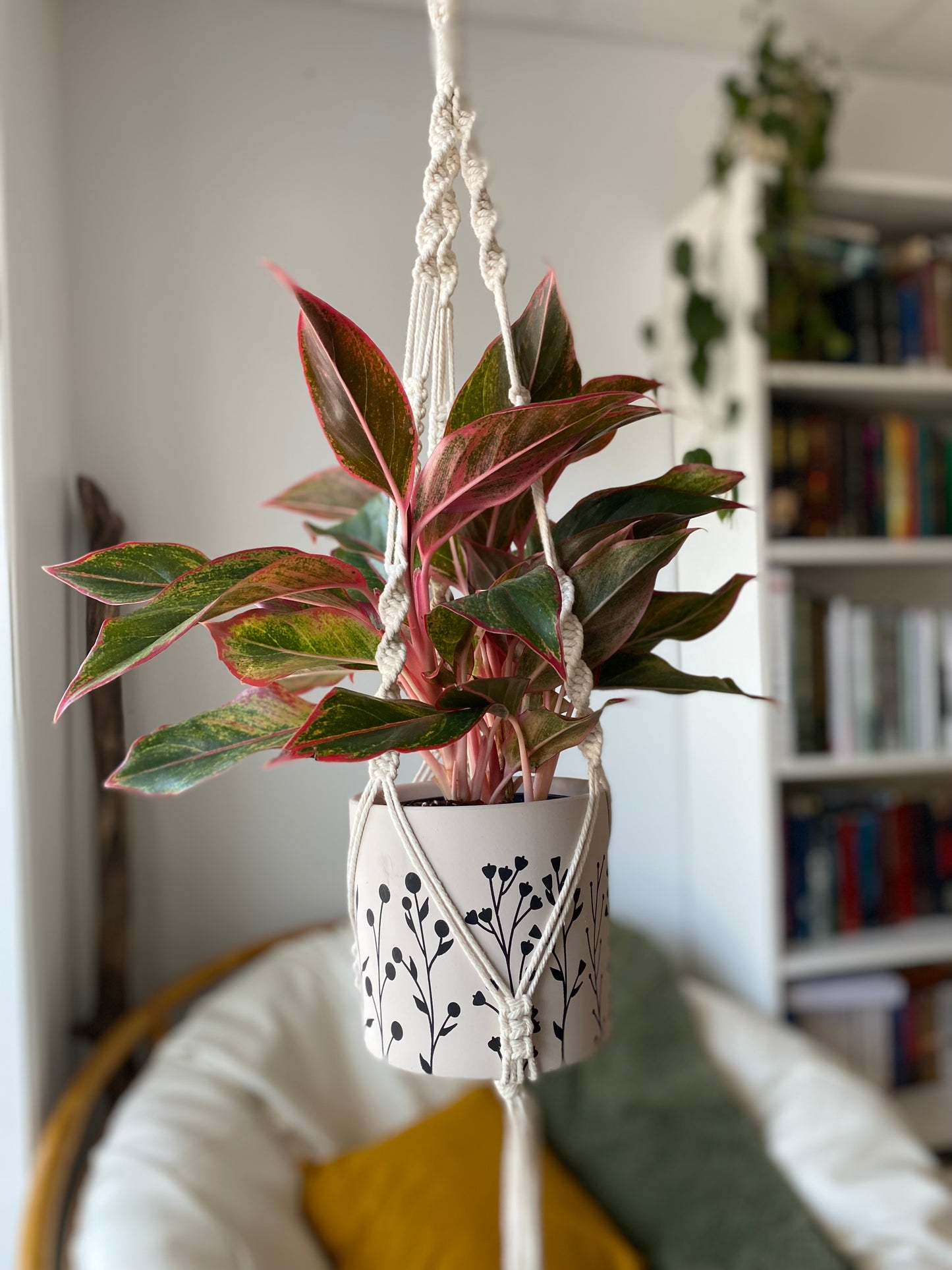Jardinière macramé