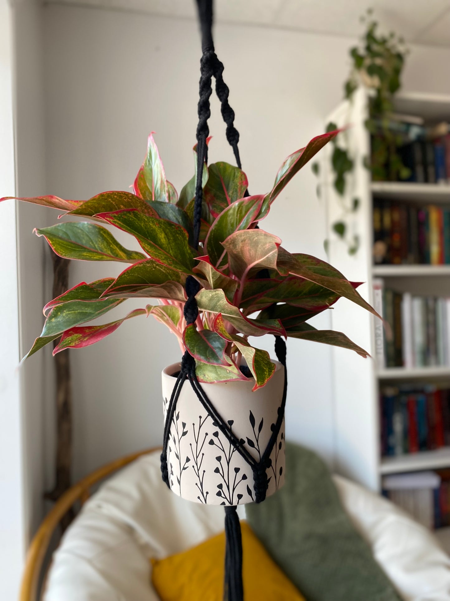 Jardinière macramé