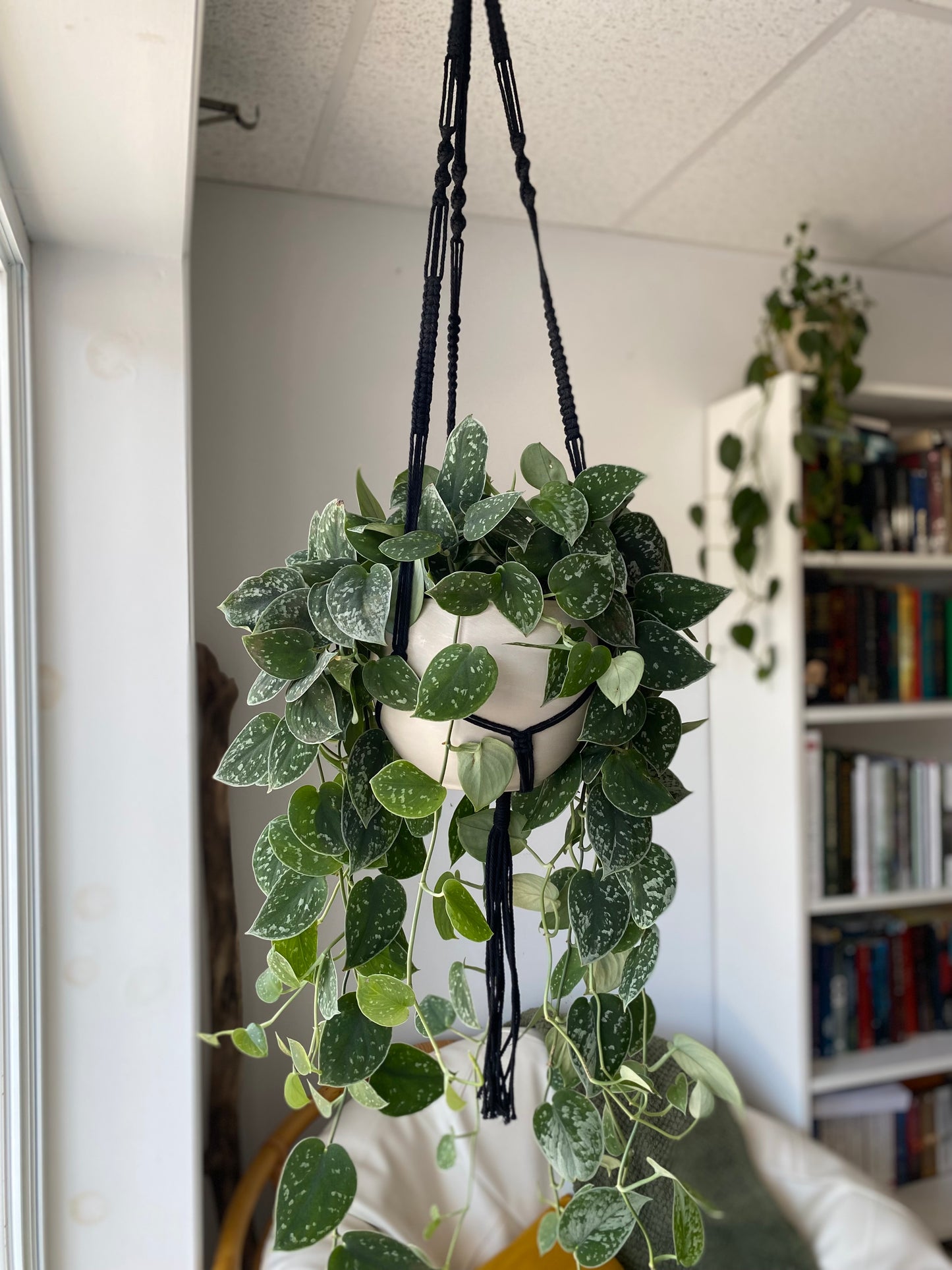 Jardinière macramé
